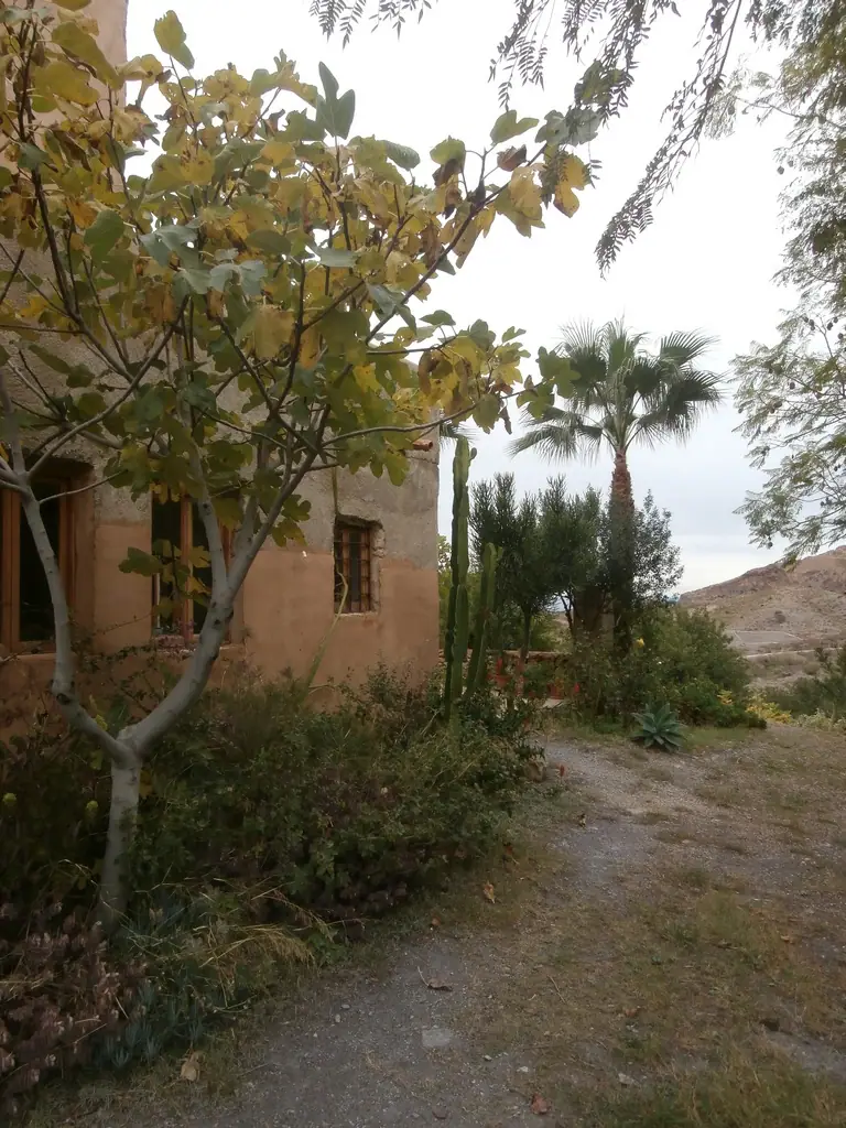 Cortijo with land, Turre — thumbnail 13