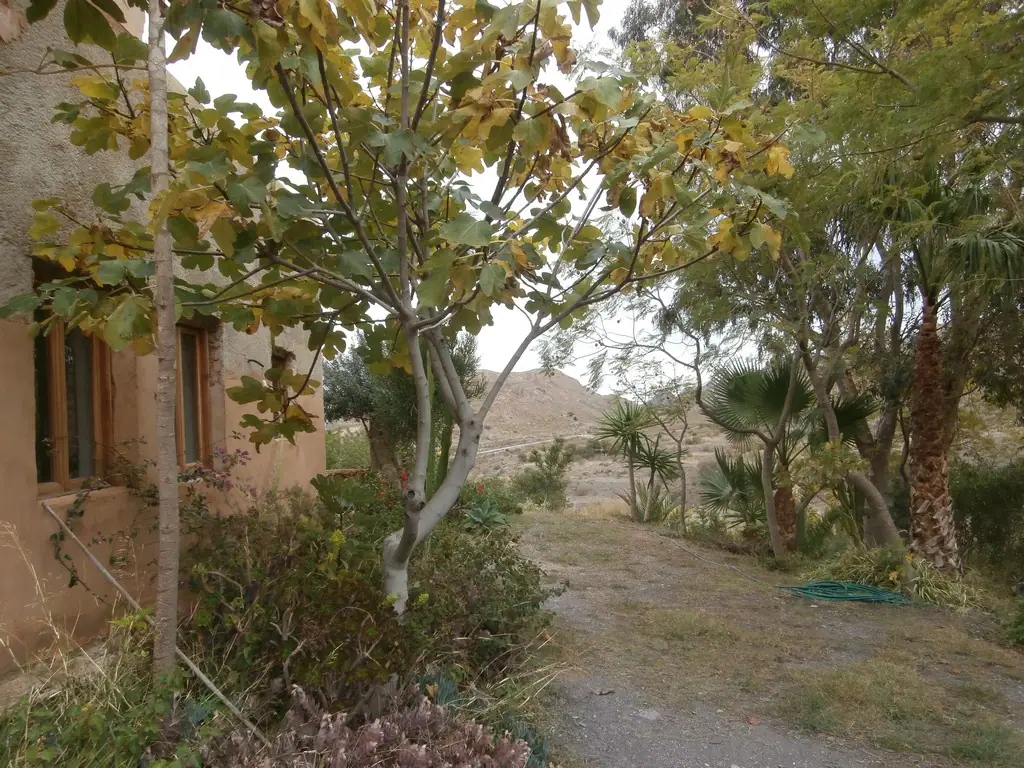 Cortijo with land, Turre — thumbnail 17