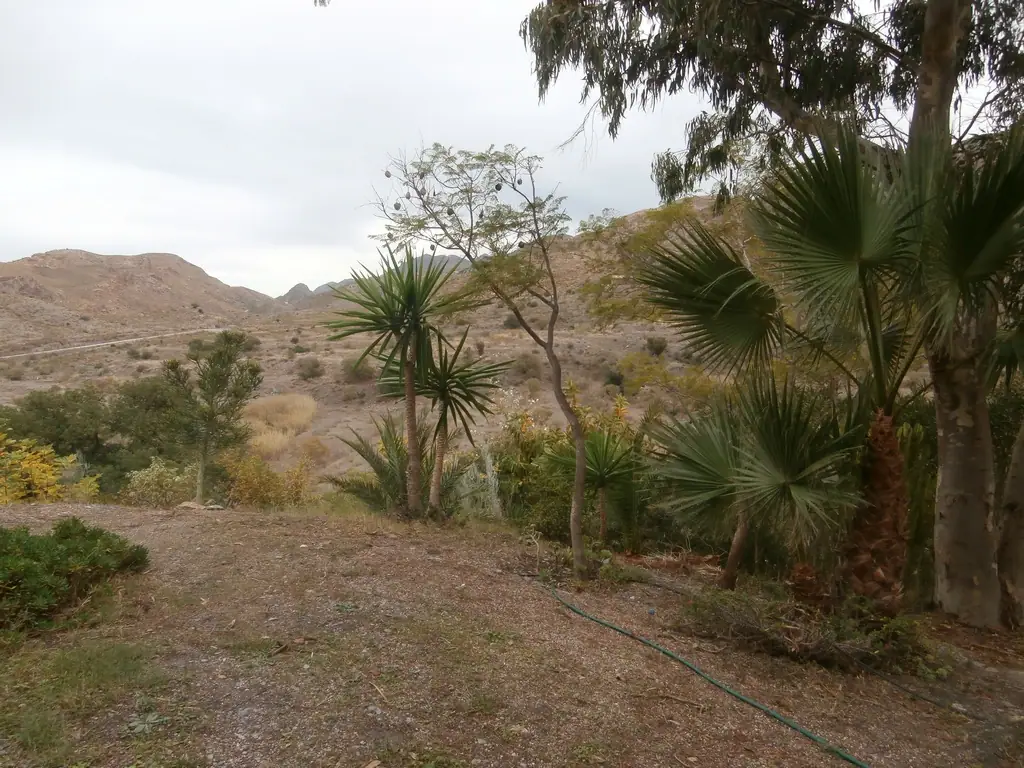 Cortijo with land, Turre — thumbnail 19