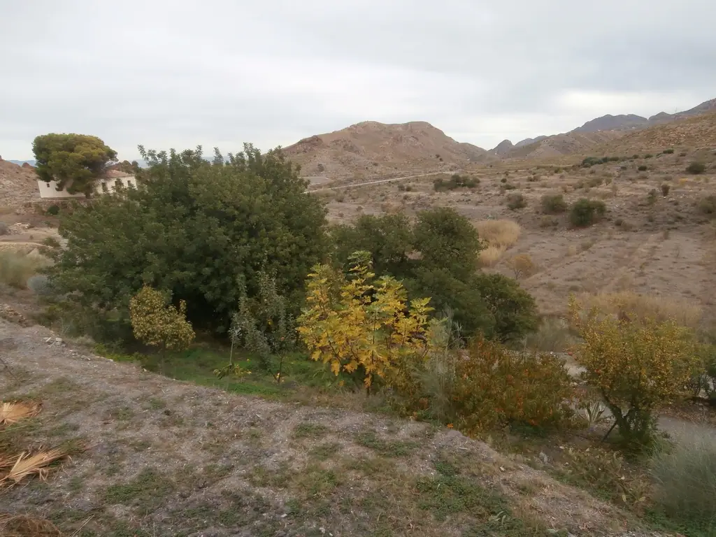 Cortijo with land, Turre — thumbnail 20