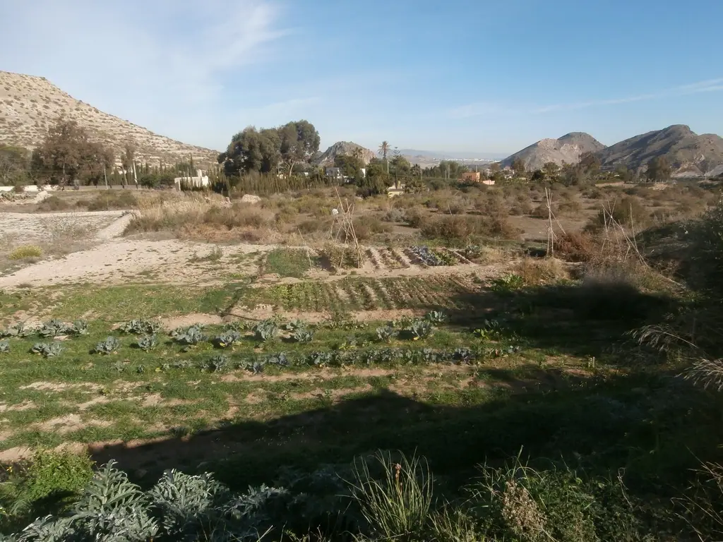 Plot in Huerta de Mojácar — thumbnail 5