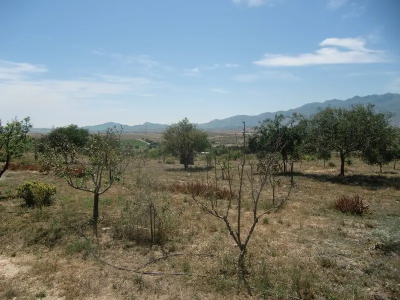 Villa in Los Gallardos — thumbnail 16