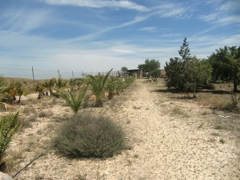 Villa in Los Gallardos — thumbnail 18