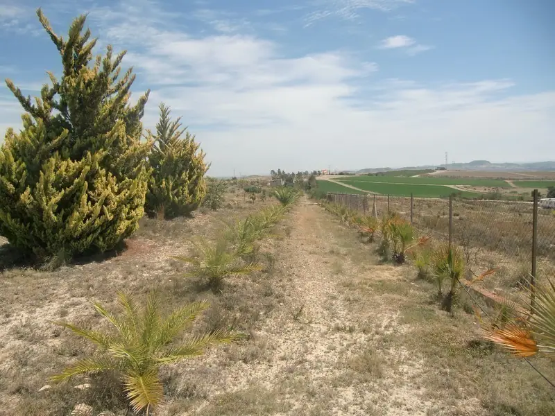 Villa in Los Gallardos — thumbnail 19