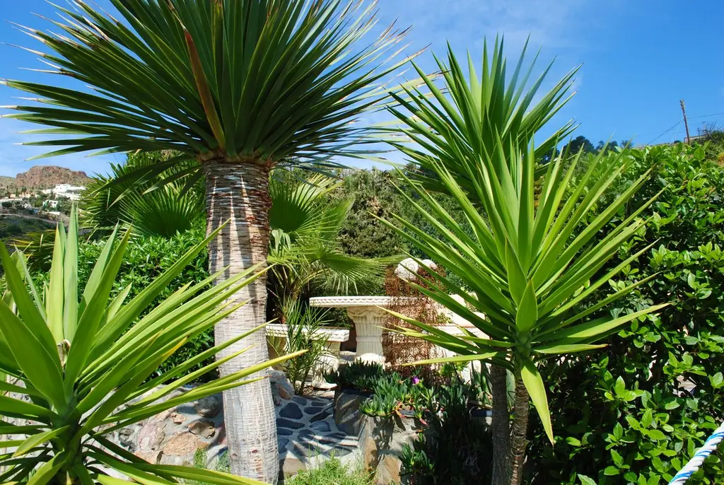 4-bedroom villa in Castillo Marinas, Mojácar Playa — thumbnail 22