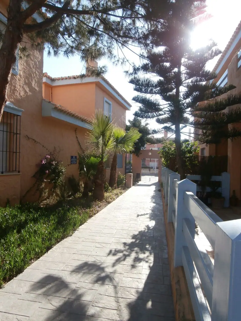 Playa del Sur — thumbnail 25