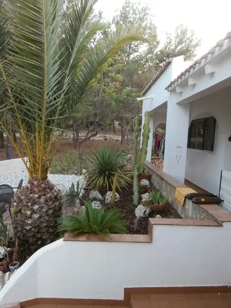 Finca los Arcos — thumbnail 30
