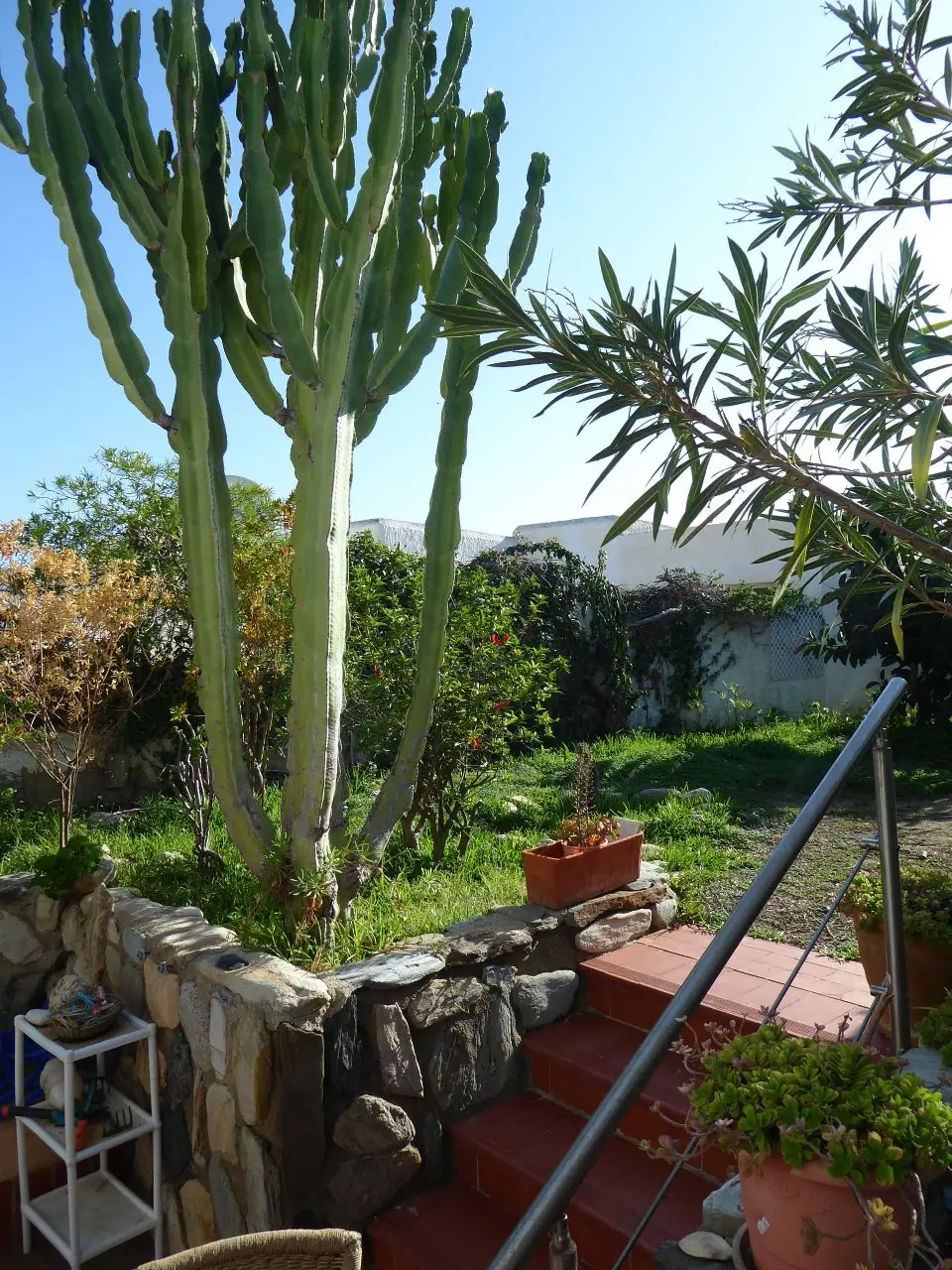 Casa Maravilla — thumbnail 24